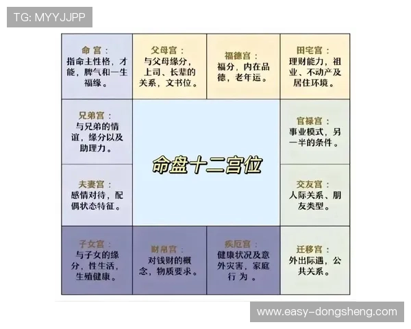 新手必看：K8真人娱乐入门指南与常见问题解决方案