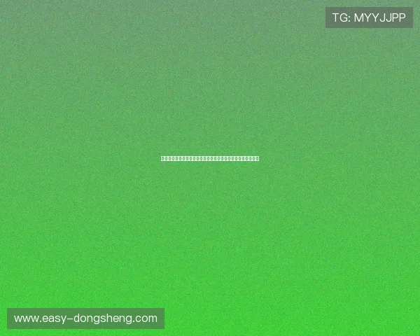 全面解析世界杯葡萄牙乌兹别克斯坦比赛时间表及比赛场地信息